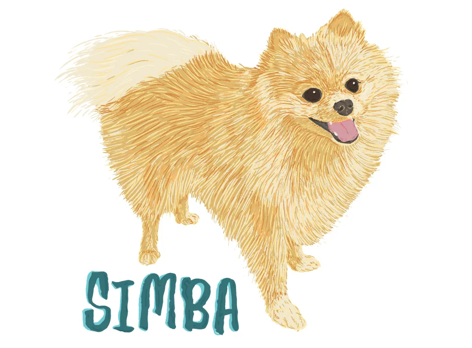 Pet_Portrait_19.jpg