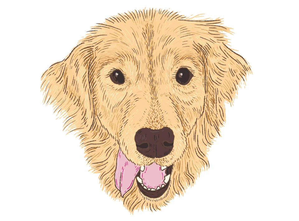 Pet_Portrait_20.jpg
