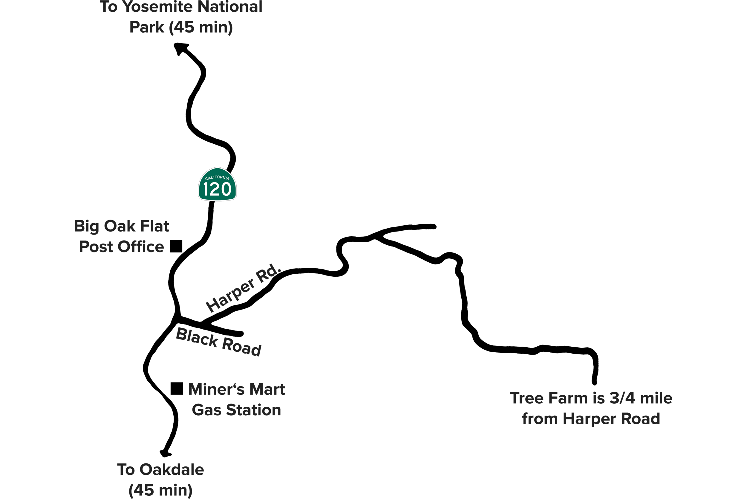 Tabletop Christmas Tree Farms
