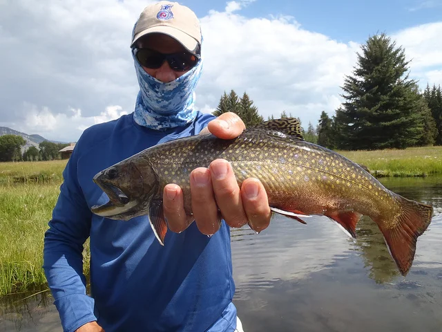 JT Brookie Blue Crane.jpg