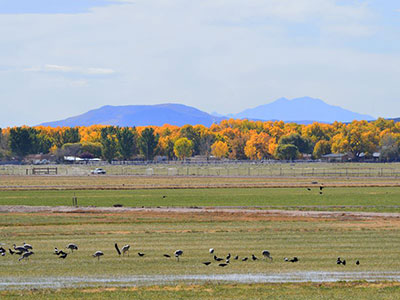 Valle de Oro National Wildlife Refuge Event