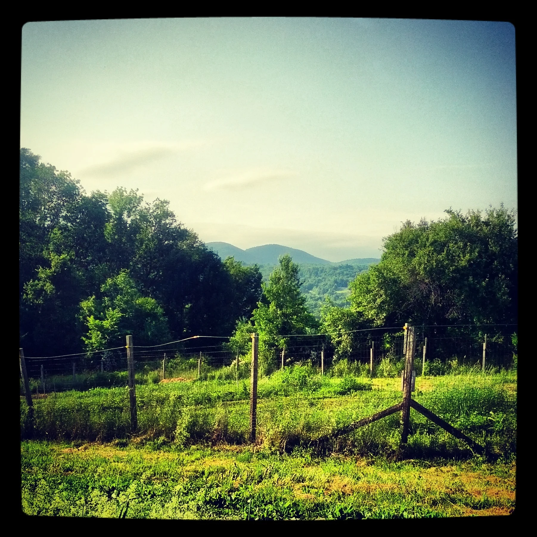Holotropic Breathwork in Southern Vermont