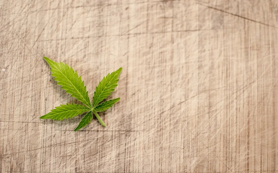 marijuana-3065621_960_720.jpg