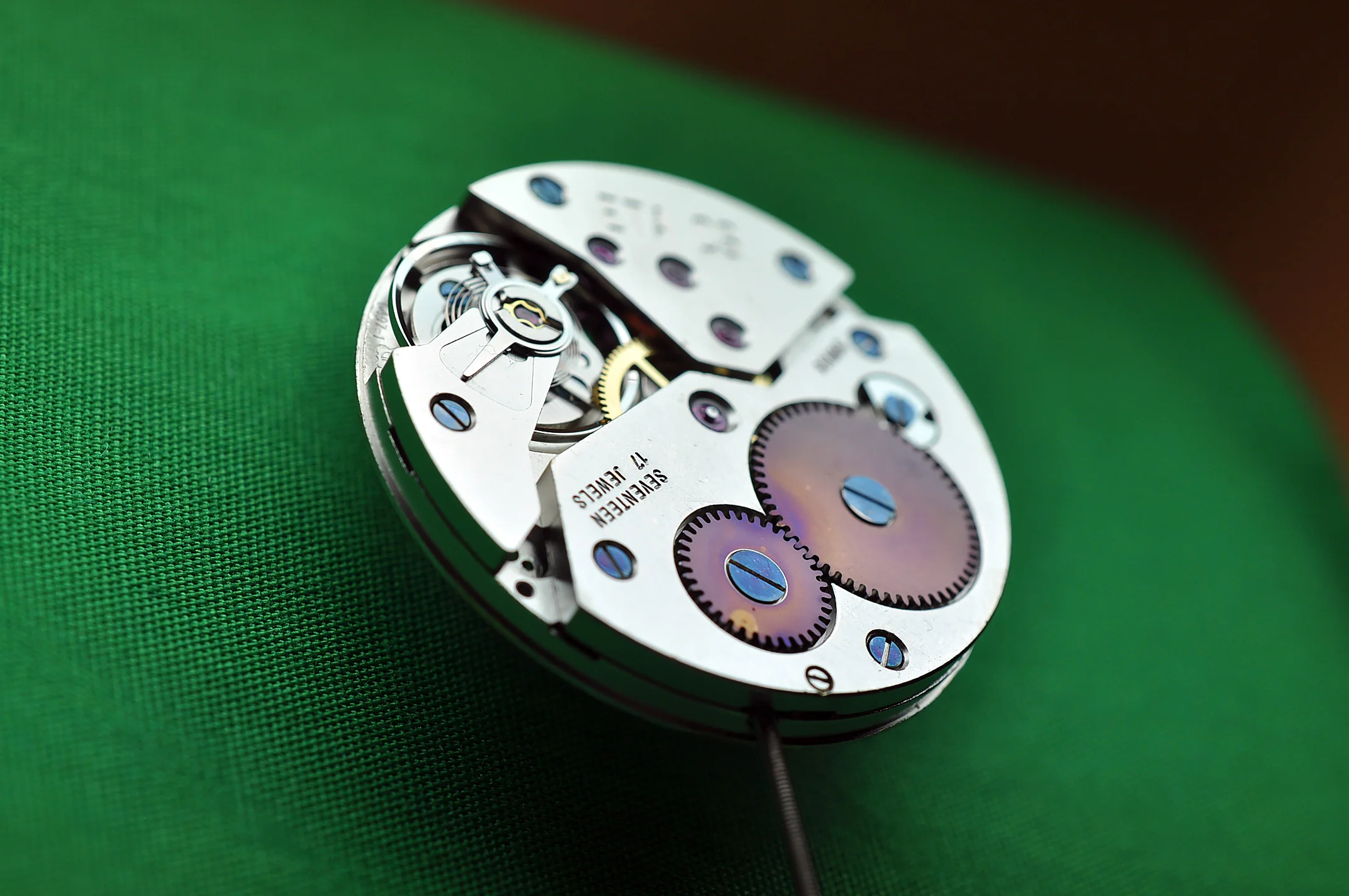 Blue Screws — Orion Watches