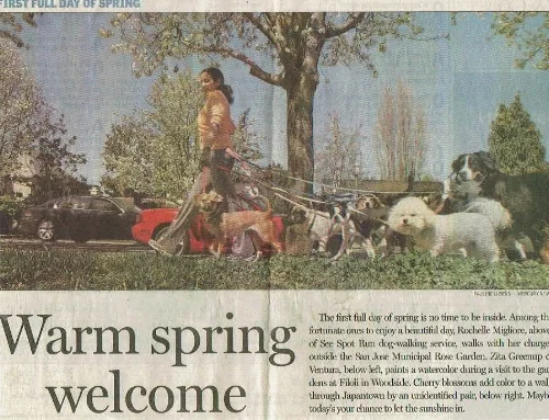 our first time in the san jose mercury news, We made the front page!