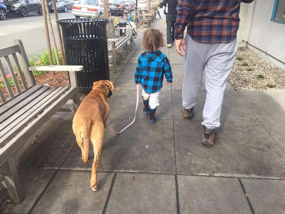 dog training for the whole family!