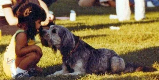 198995_10150157970657769_5522372_n.jpg