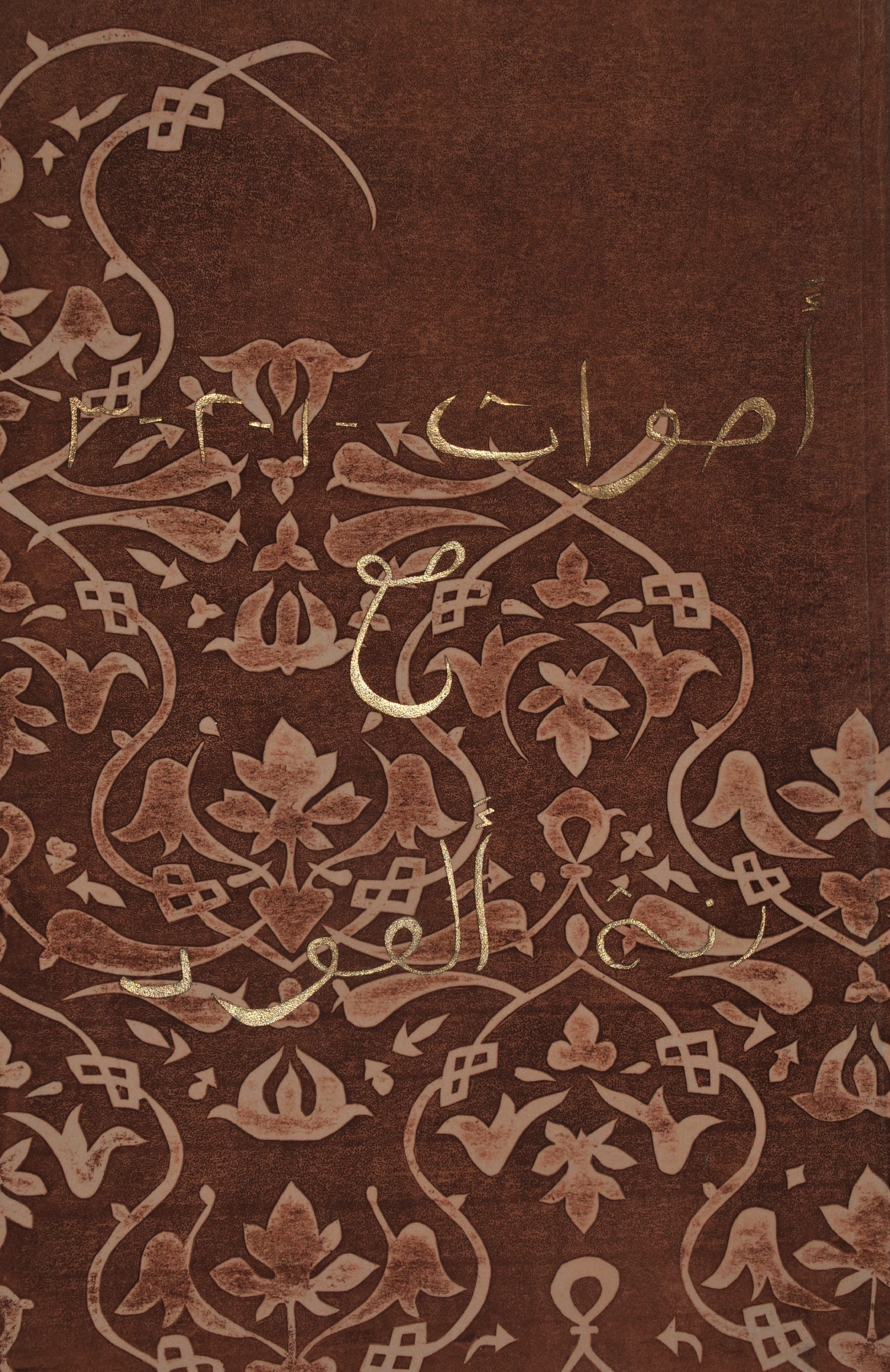 cropped cover.jpg