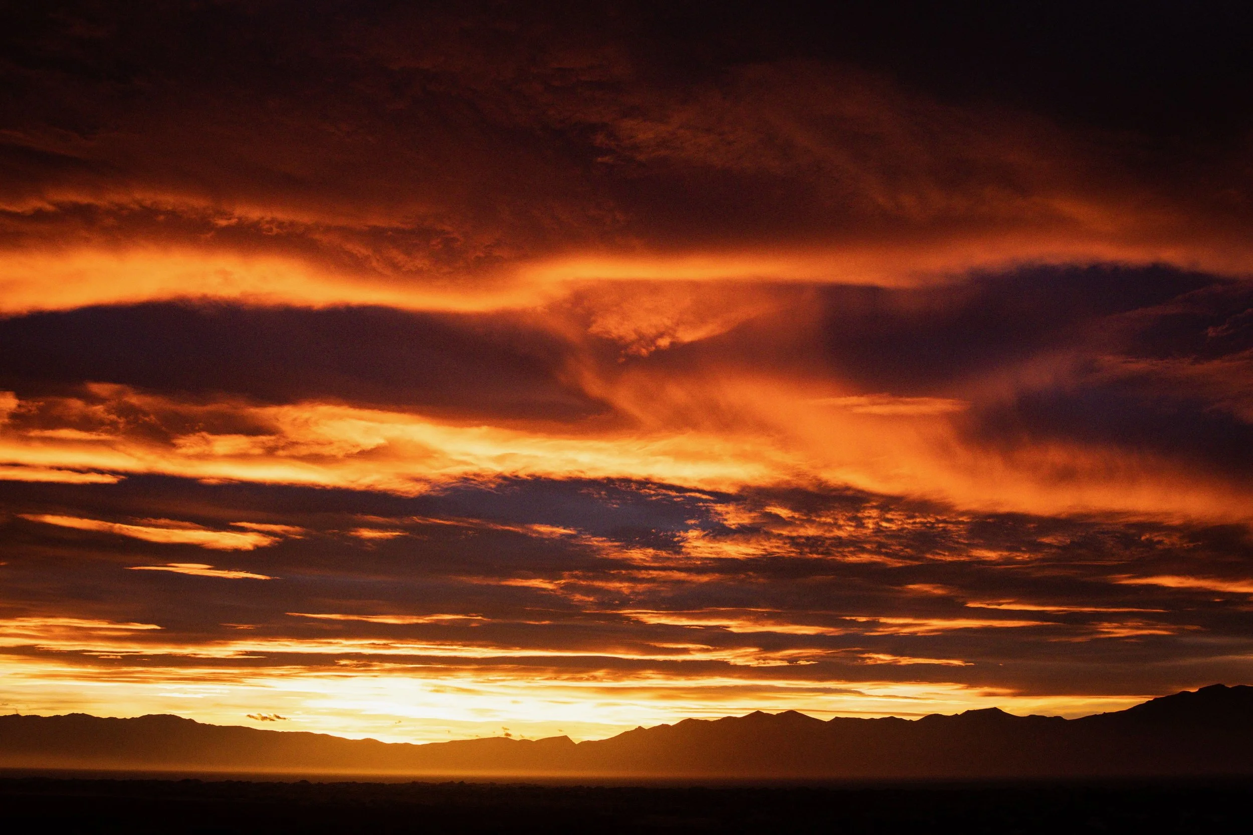 2022.11.04 - Black Rock Trip-53.jpeg