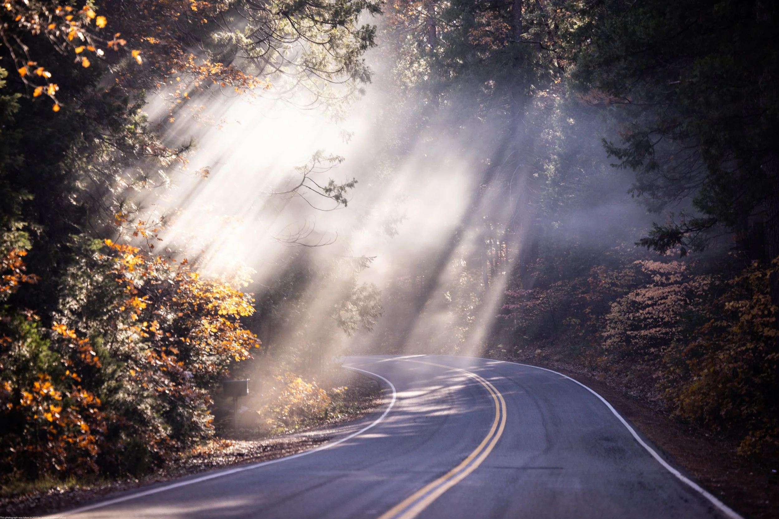 2023 November Camping Trip-88.jpeg