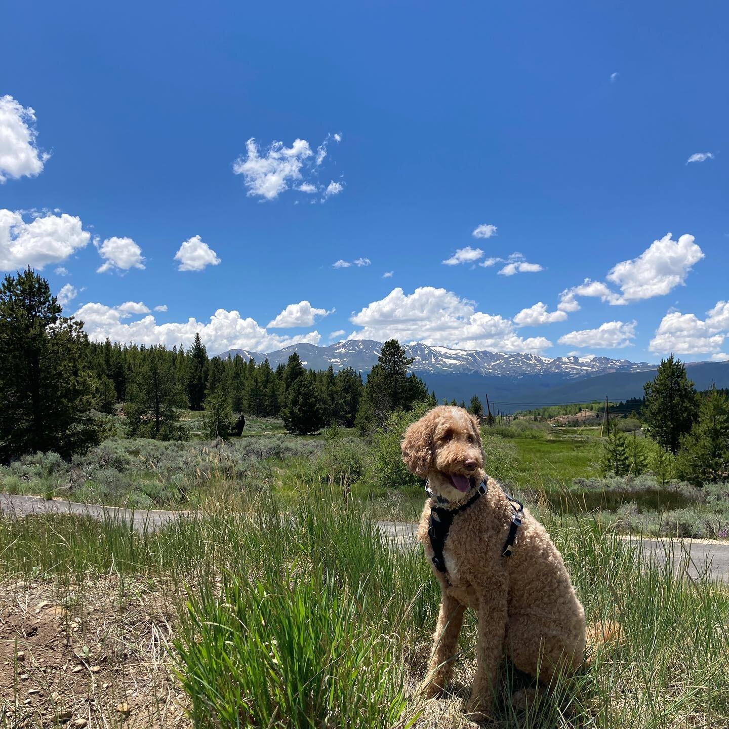 I reckon there ain&rsquo;t a soul past the Mason-Dixon who hadn&rsquo;t heard tell of ol&rsquo; Samwise Kelly. For more than five years, he&rsquo;s been bonafied as the rootinest, tootinest, friendliest prospector in the whole of the Wild West.