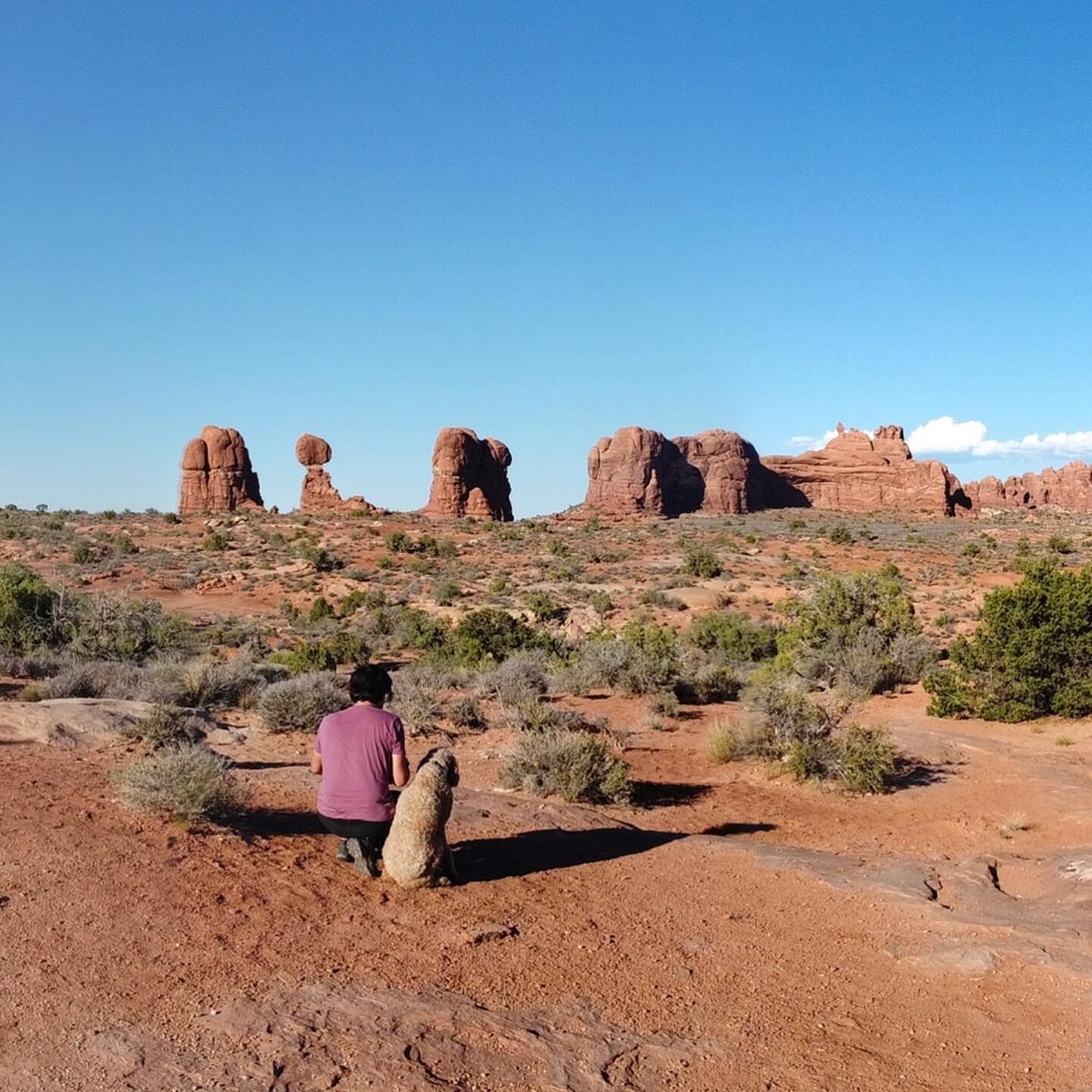 Miraculously found an open spot at the Devil&rsquo;s Garden campground in Arches even though it&rsquo;s booked solid for months. 🌵