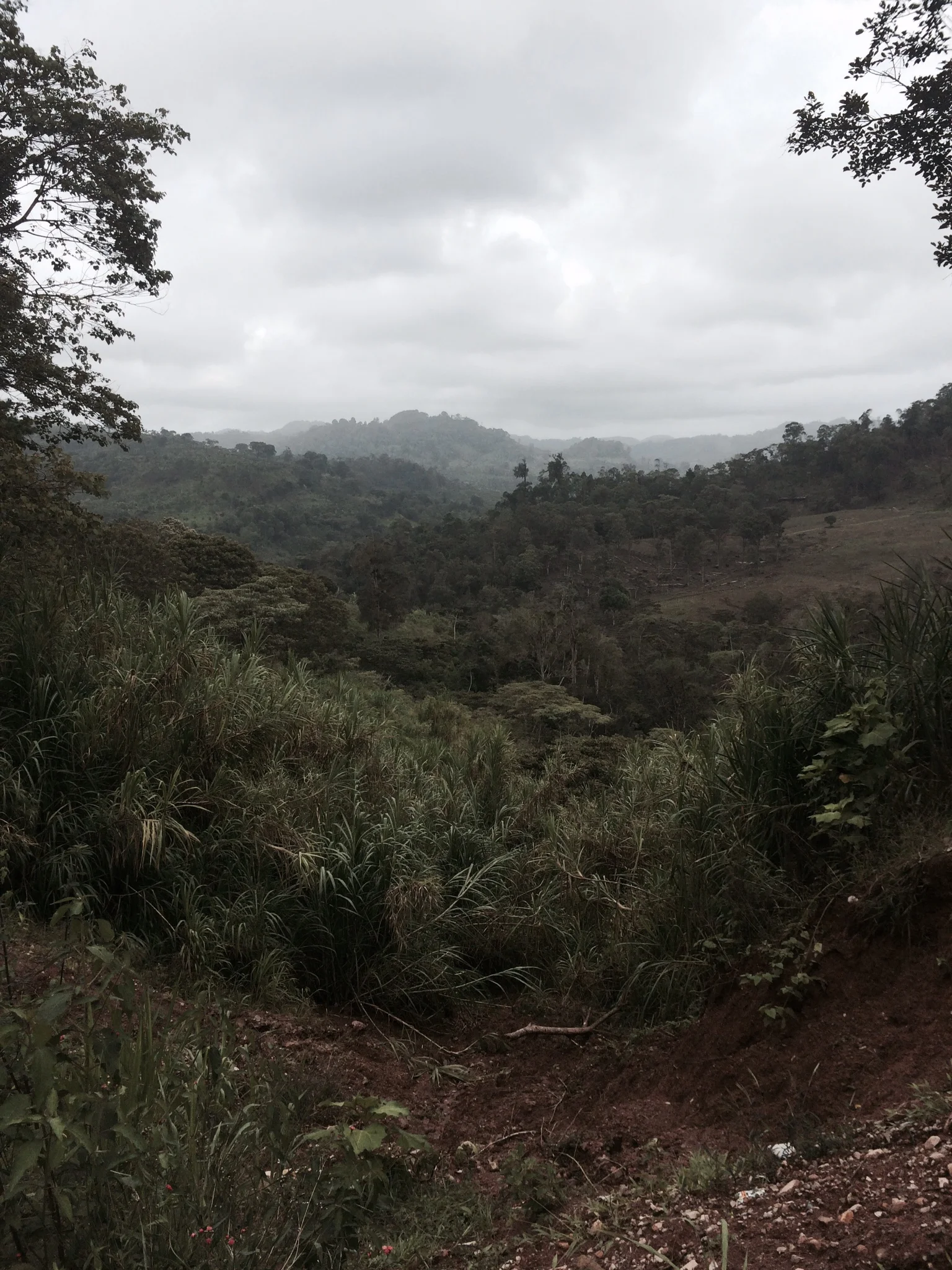 Spoons and Pop Rocks