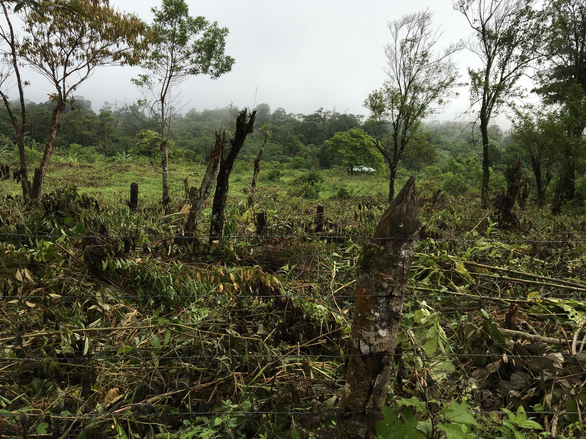 Our last activity of the day was to visit the newly purchased land for the church plant in a community about 30 minutes from La Esmeralda, called Las Nubes.