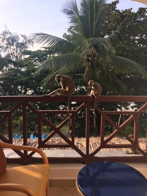 Grade 7 & Special Needs School