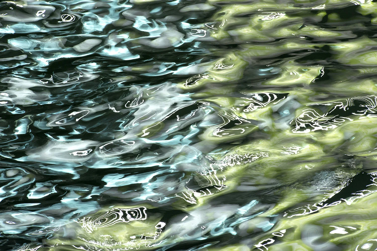 10a.jpg