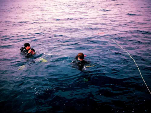 AUS-ROV PERFORMING ENVIRONMENTAL REEF MONITORING SERVICES AT SOUTHERN QLD AND NORTHERN NSW REEFS