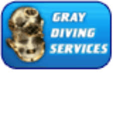 gray dive.jpg