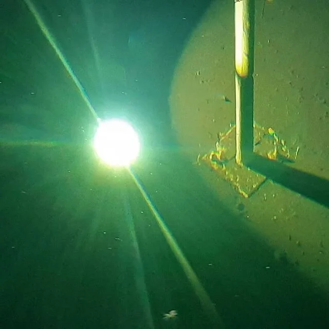 AUS-ROV perform HD and UHD video camera inspections of reservoirs and tanks for our clients. We also provide 3D photogrametry, laser and sonar modelling of water assets. #ausrov #sonar #rov #inspection #engineering #waterindustry