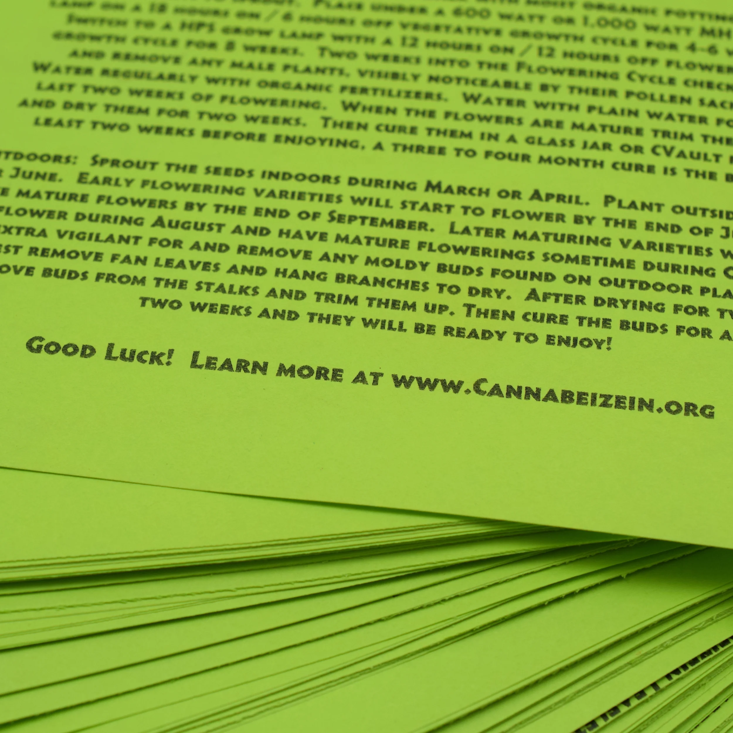 Cannabeizein 0181 - Leaflet - DSC_0055.JPG