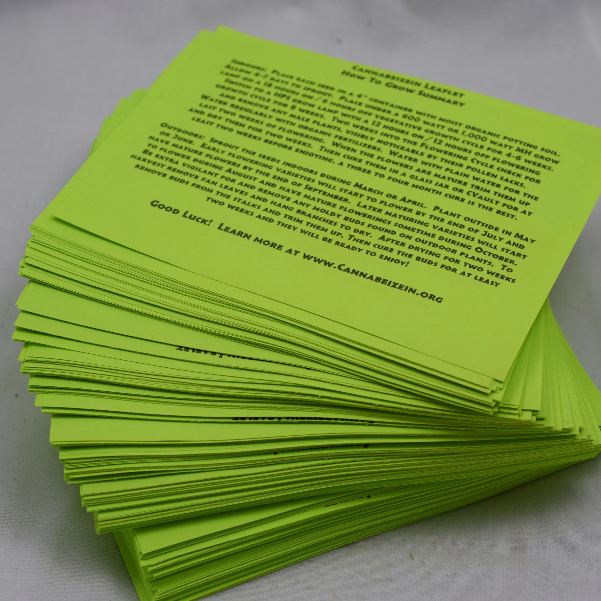 Cannabeizein 0183 - Leaflet - DSC_0050.jpg