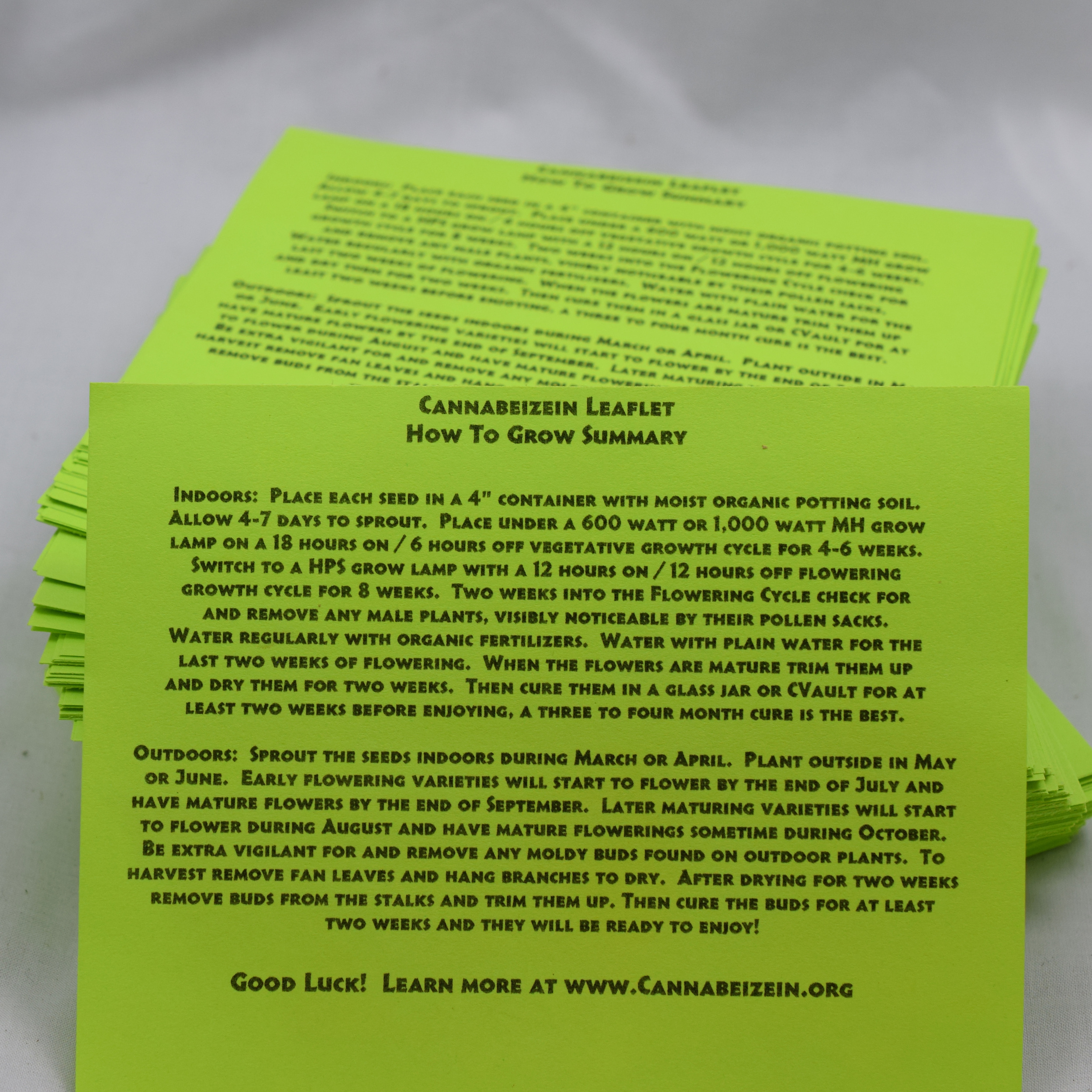 Cannabeizein 0184 - Leaflet - DSC_0053.jpg