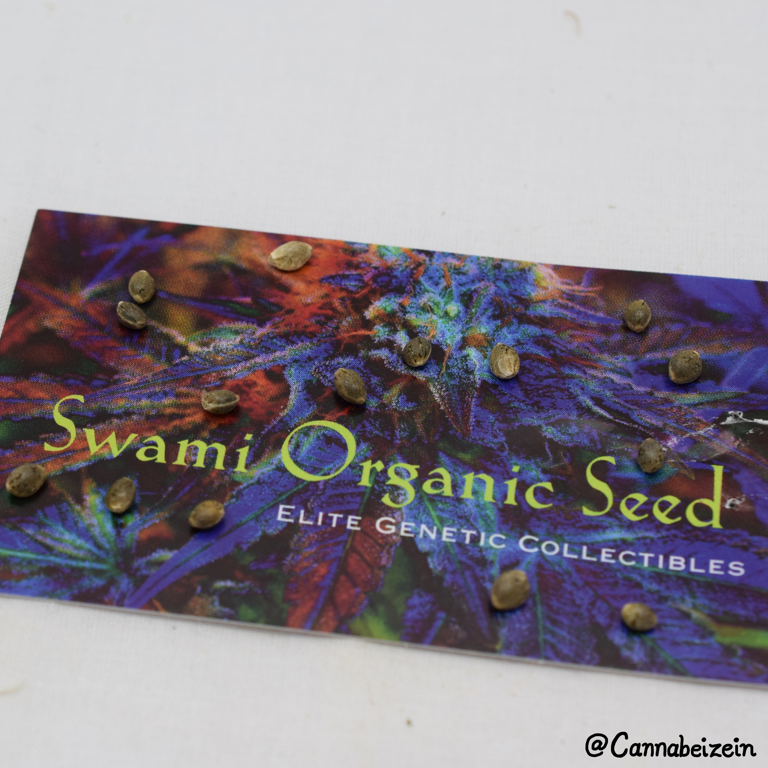 Cannabeizein 0202 - Swami Seeds - DSC_0189 copy.jpg