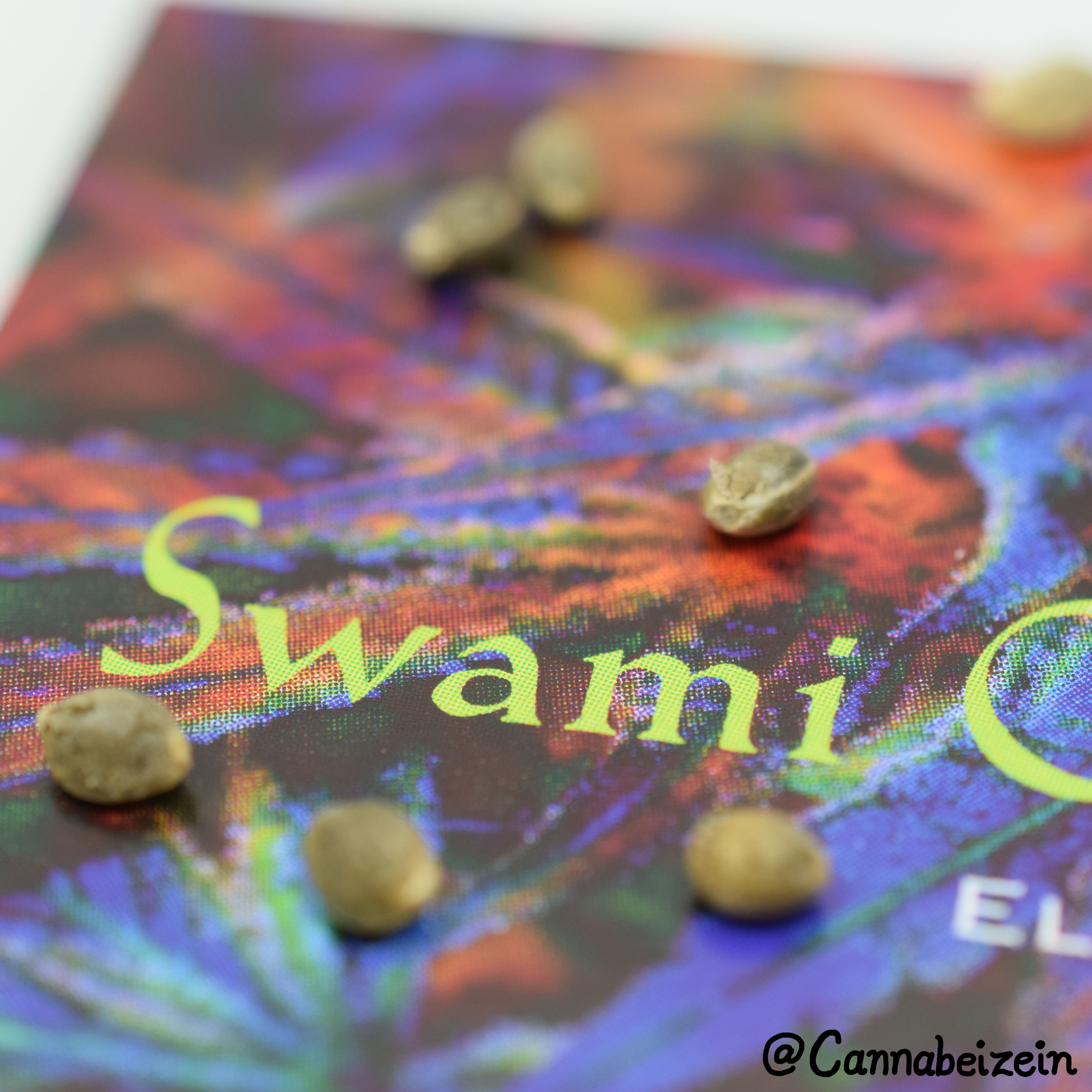 Cannabeizein 0203 - Swami Seeds - DSC_0197 copy.jpg