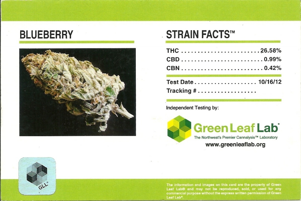 Outdoor Blueberry Strain Facts Card