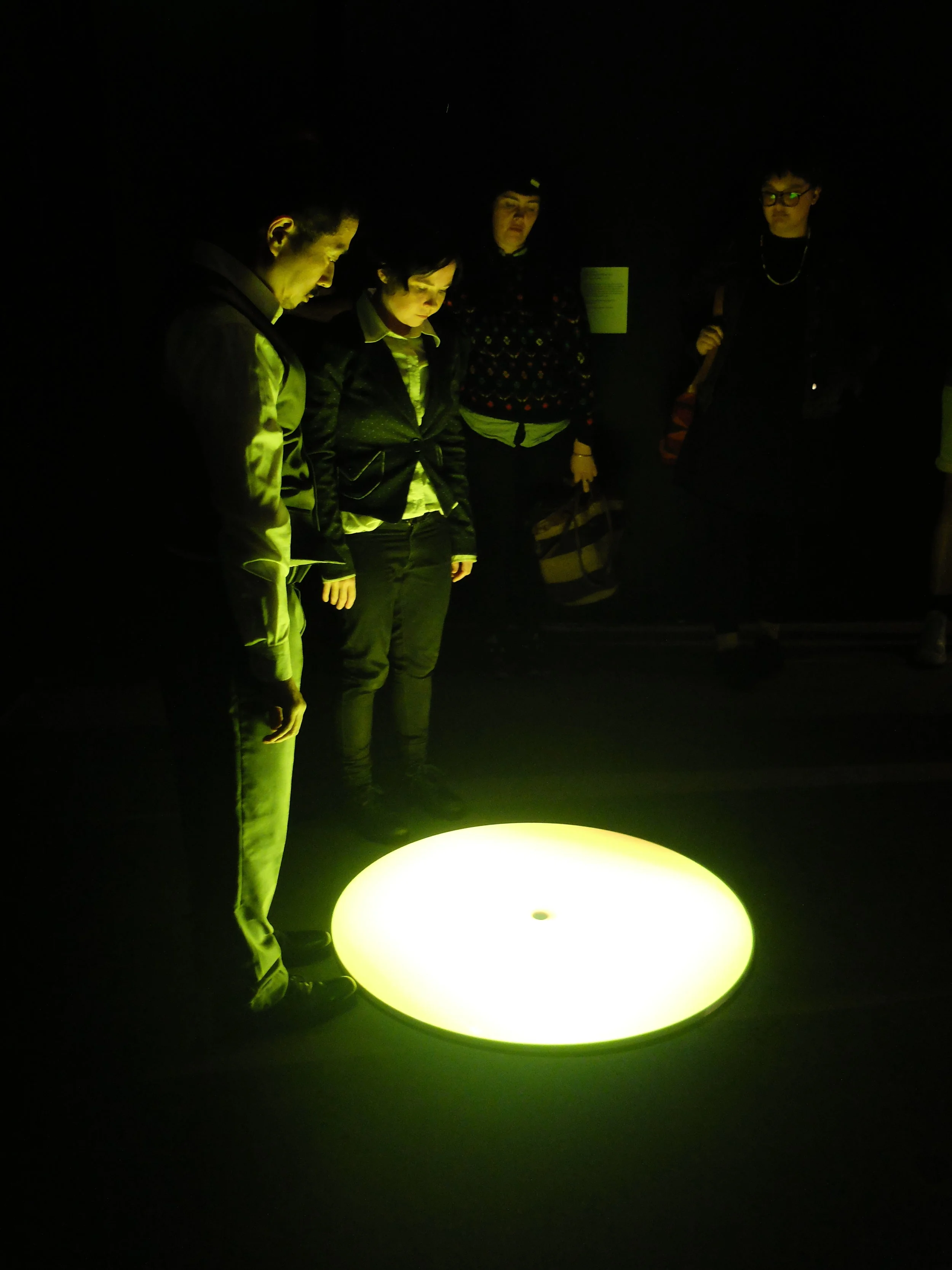 Intervention for Public Program A Working Model of the World. Curatorial Studio, Social Space (UNSW - Art and Design)
