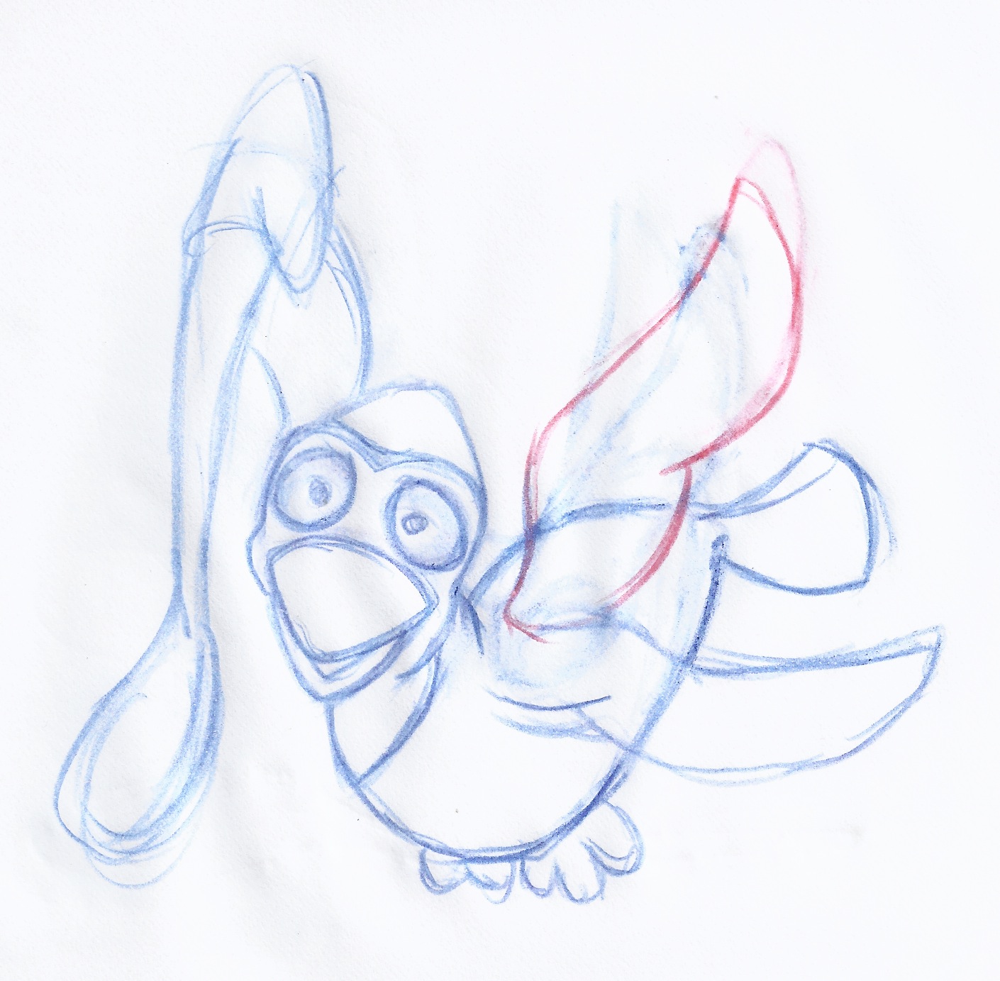 blujay.jpeg