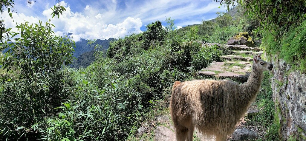 Nearby Machu Picchu