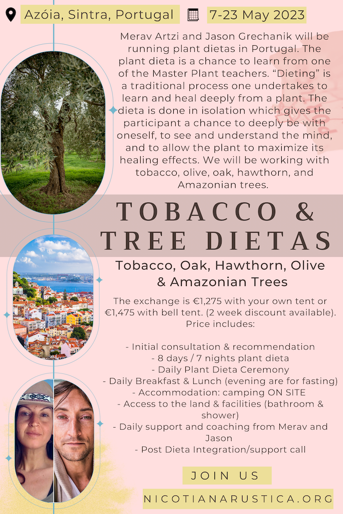 Tobacco and Tree Dieta - May, 2023 - Azóia, Sintra, Portugal