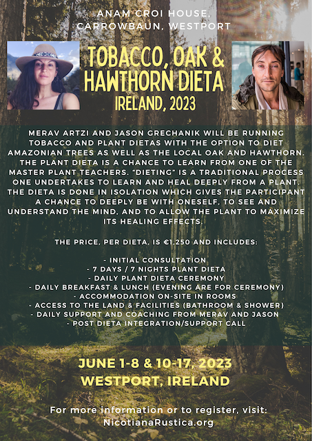 Tobacco, Oak, Hawthorn &amp; Tree Dieta - June, 2023  - Anam Groi House, Carroweaun, Westport, Ireland