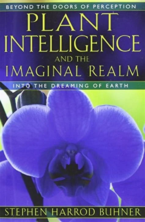 Plant Intelligence and the Imaginal Realm by Stephen Harrod Buhner