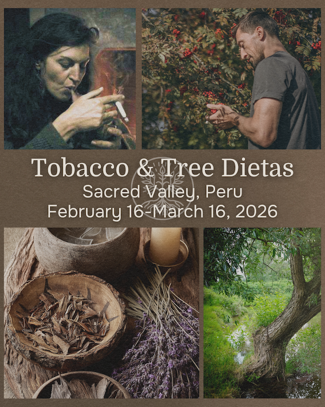 Tobacco and Tree Dieta - February 16 - March 16, 2026 - Urubamba, Sacred Valley, Peru
