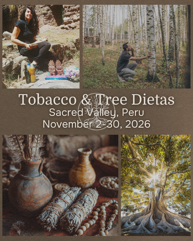 Tobacco and Tree Dieta - November 2 - 30, 2026 - Urubamba, Sacred Valley, Peru