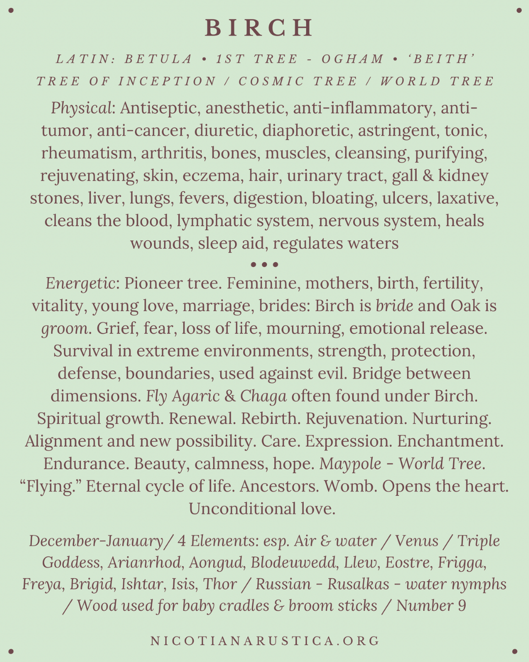 Birch tree post - 12.PNG