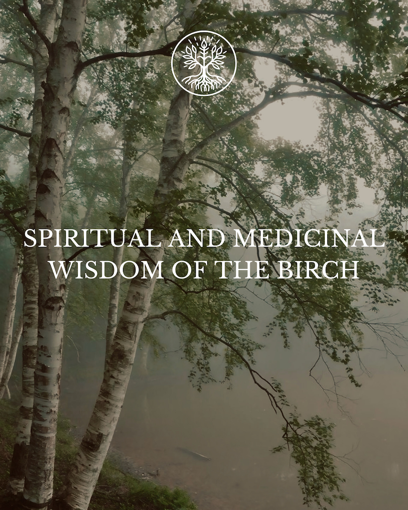 Birch tree post - 11.PNG