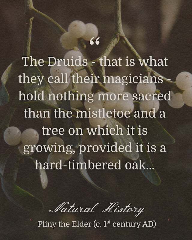 Spiritual Oak Tree Post (1800 x 1800 px) (Instagram Post (45)) - 5.PNG