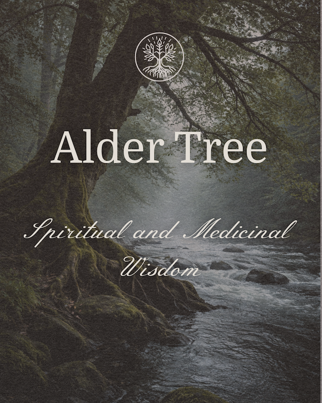 Spiritual Alder Tree Post (1800 x 1800 px) (Instagram Post (45)) - 1.PNG