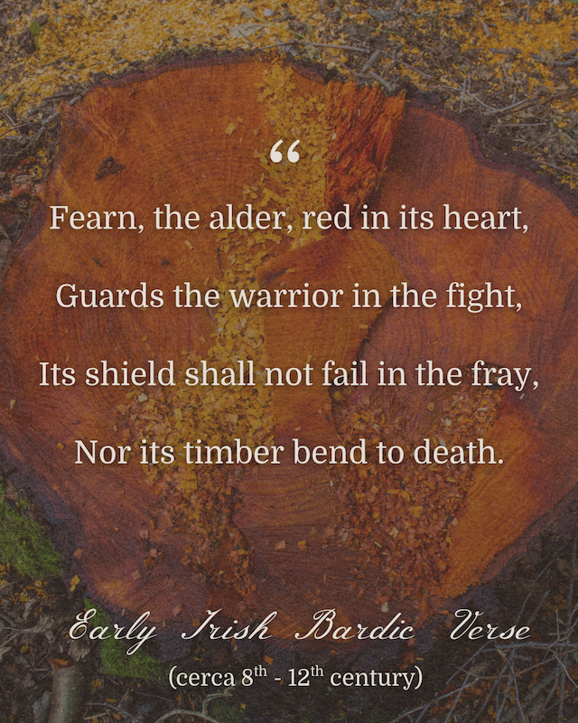 Spiritual Alder Tree Post (1800 x 1800 px) (Instagram Post (45)) - 5.PNG