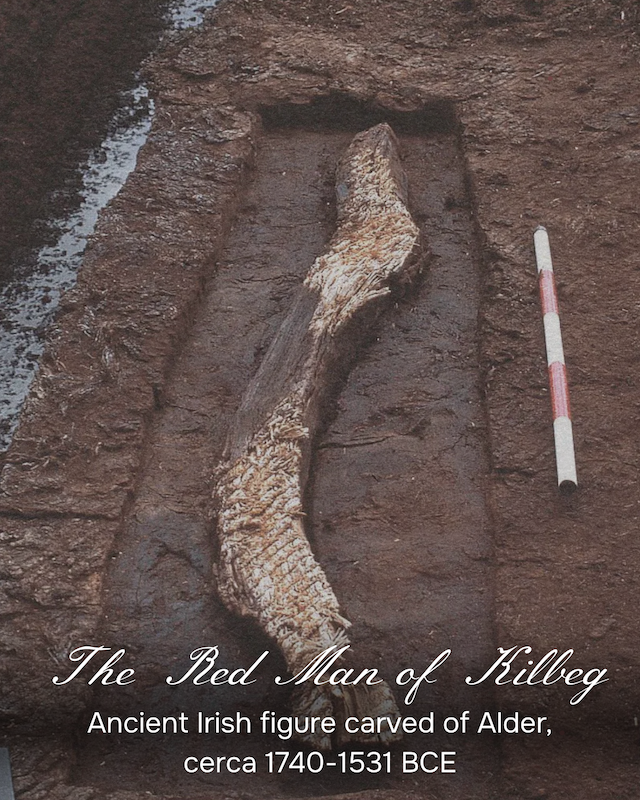 Spiritual Alder Tree Post (1800 x 1800 px) (Instagram Post (45)) - 6.PNG