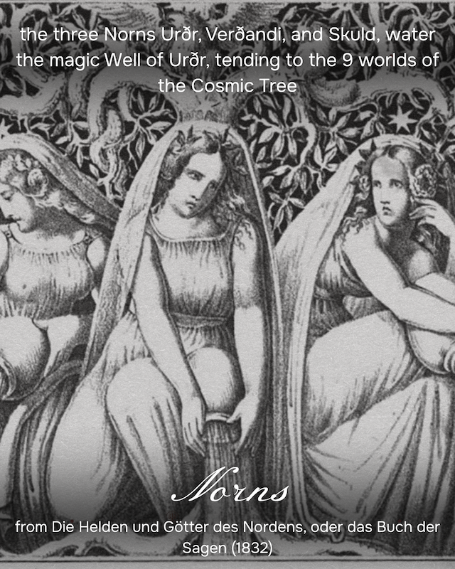 Spiritual Alder Tree Post (1800 x 1800 px) (Instagram Post (45)) - 11.PNG