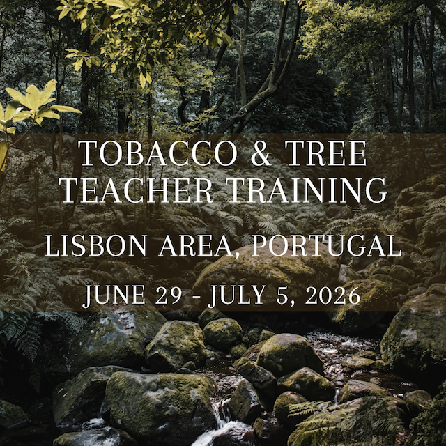 Teaher Training Store 2025.PNG