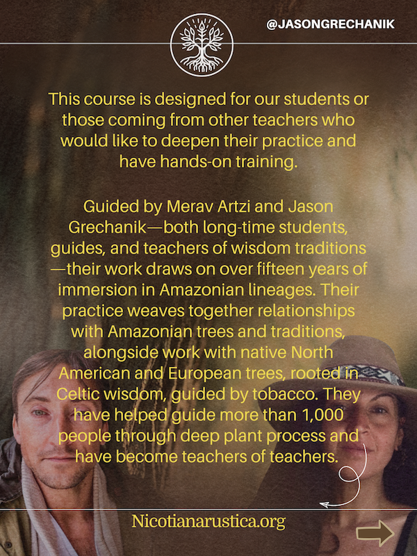 Yellow and Green Modern Habit Tips Carousel Instagram Post - 2.PNG