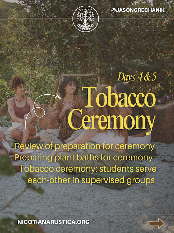 Yellow and Green Modern Habit Tips Carousel Instagram Post - 6.PNG