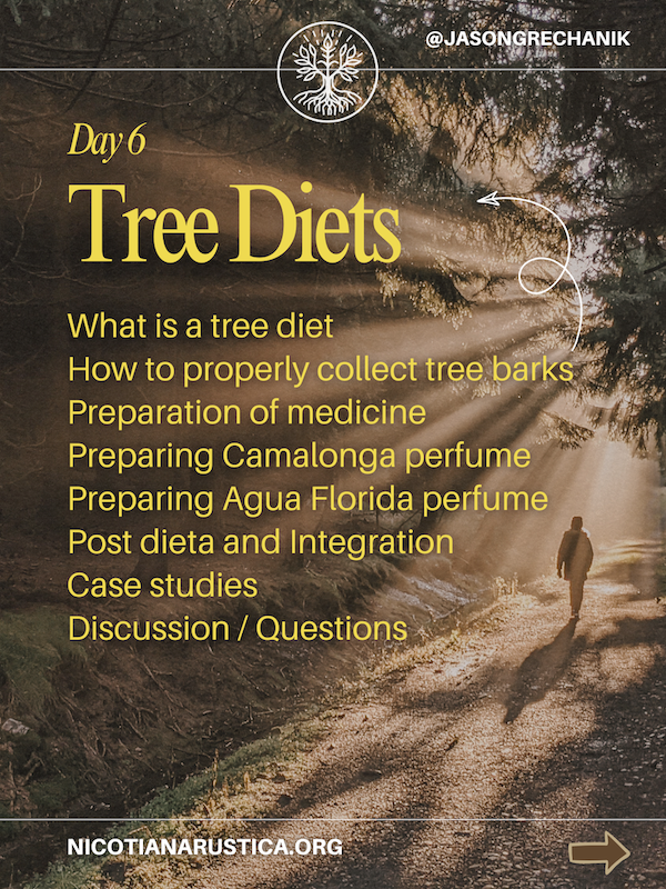 Yellow and Green Modern Habit Tips Carousel Instagram Post - 7.PNG