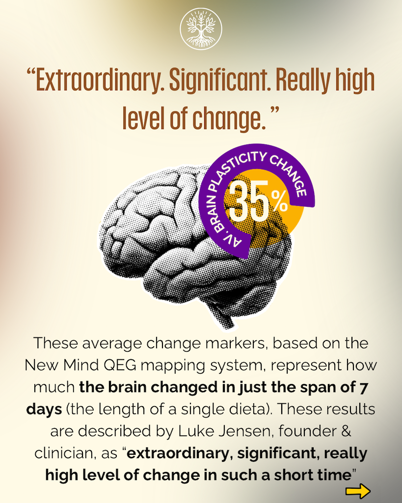 Brain Map - 2.PNG