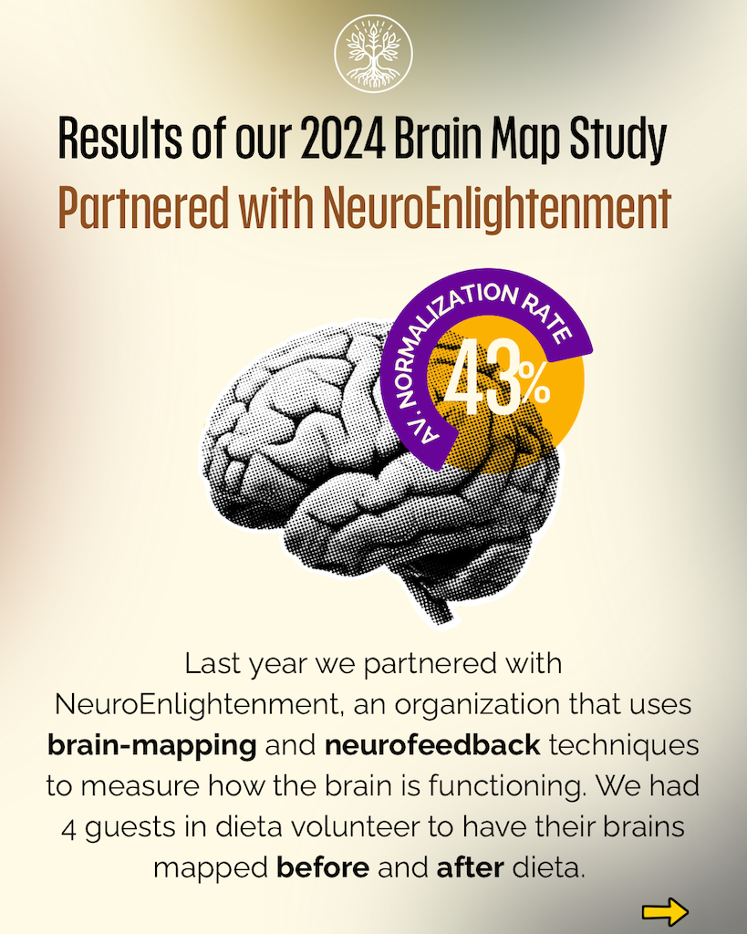 Brain Map - 1.PNG
